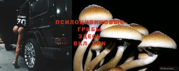 mdma Нефтегорск