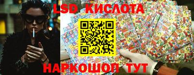индика Можайск