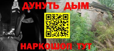 индика Можайск