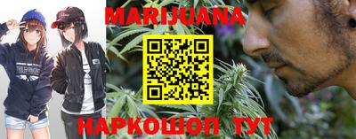 индика Можайск