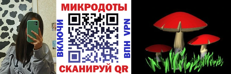 Купить  Уварово  Галлюциногенные грибы Psilocybe 