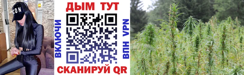 Бошки Шишки VHQ Уварово